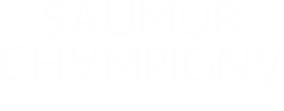 Saumur Champigny, Saumur-Champigny: open-minded wines